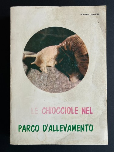 Libro chiocciole nel - libro,