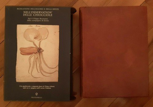 Nell osservation delle - nell'osservation',