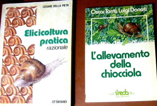 Elicicoltura allevamento - elicicoltura-,